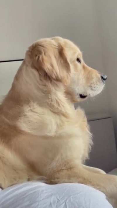 What did you say???