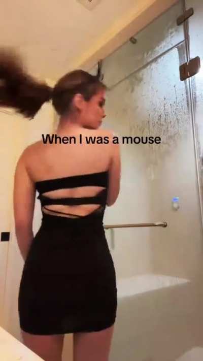 TikTok 21/08/25