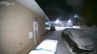 Delivery driver marks her territory 