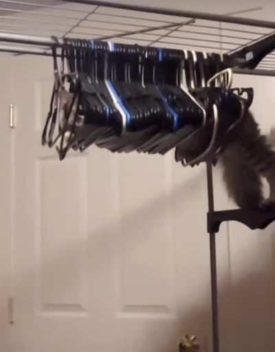 Just Hangin&rsquo; Out