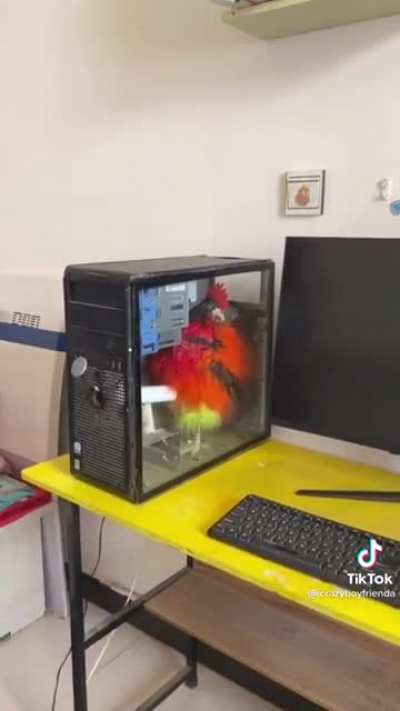 Problem with Computers