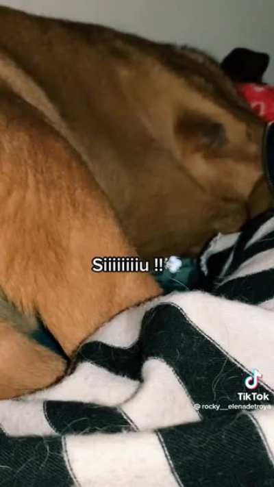 siu🥵👌🏻