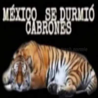Buenos dias culeros