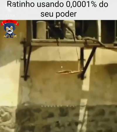 Ratinho usando seus poderes