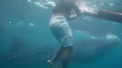 Imagine the first-person view. If only one could scream underwater