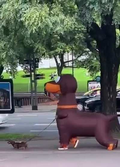 Can I get one extra-large wiener and one very small one to go?