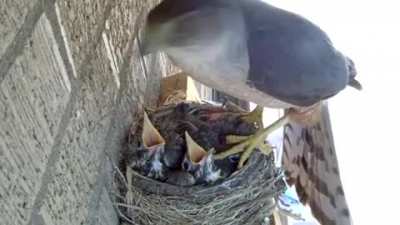 Snack time