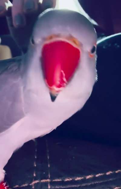 He said &ldquo;Get AWAY&rdquo;