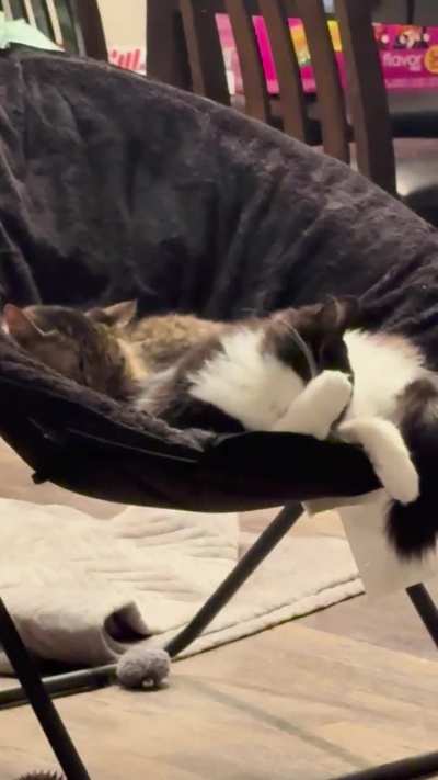 Naga cleaning his right hand beans