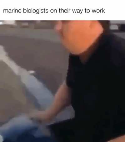 why