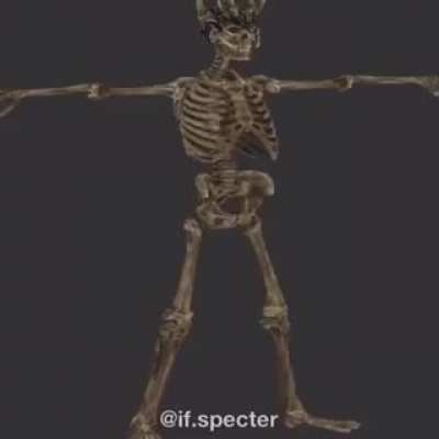 Rattle em bois