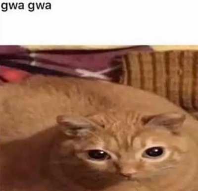 gwa