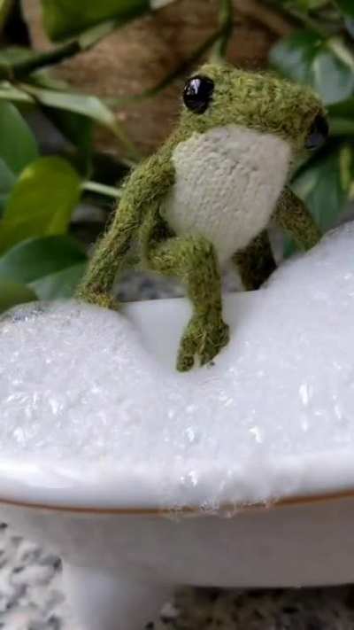 A slow morning with froggy.