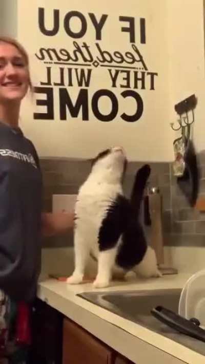 Aww yisss, that&rsquo;s the spot!
