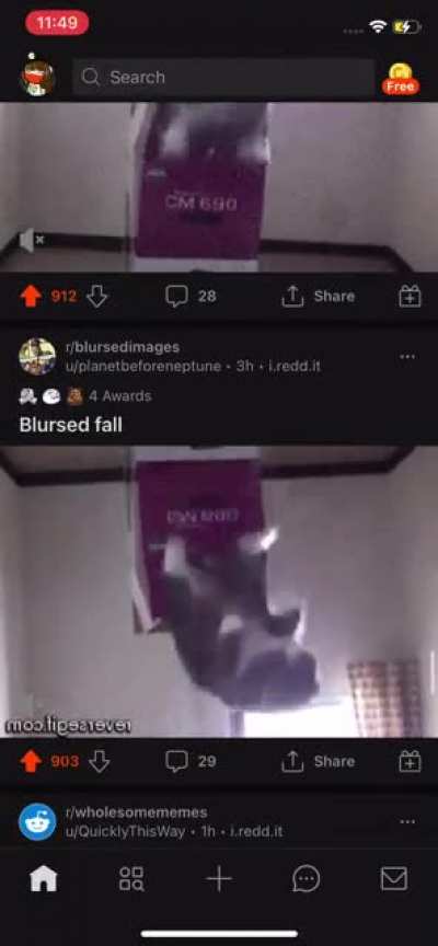 Blursed feed