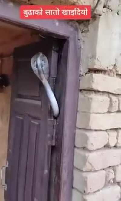 Ты не пройдешь!