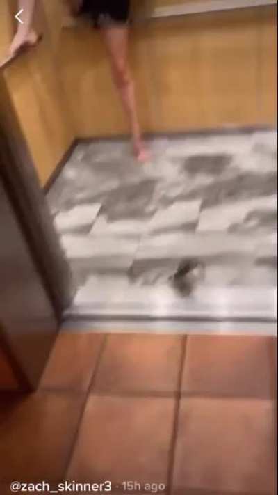 A crab enters the elevator and everyone handles the situation reasonably