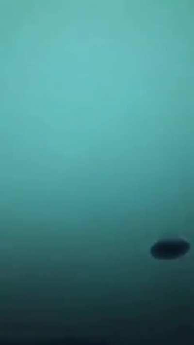 Similar to touching the eye of a snail.