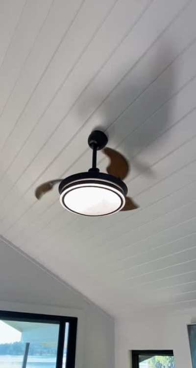 A ladybug ceiling fan