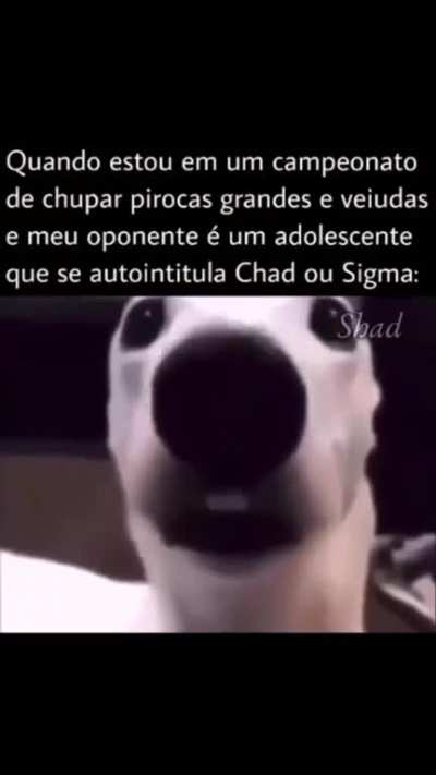 medo 😱