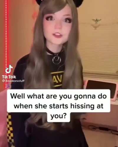 Yes Catgirl