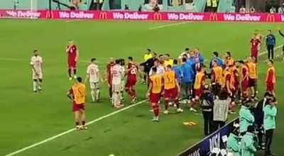 Angry and losing Serbian football fans shout &ldquo;Kill, kill Albanians (slur)&rdquo;, after two Albanian-born Swiss players kick them out of World Cup.