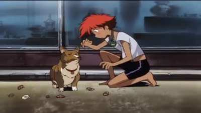Eating poisonous mushrooms when hungry af be like: