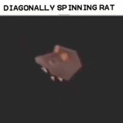 The Vertically spinning rat had a beautiful baby with the Horizontally spinning rat.