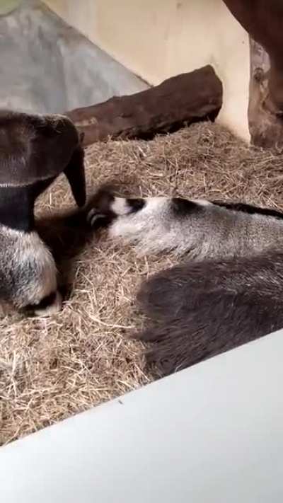 "Stop kissing me!"