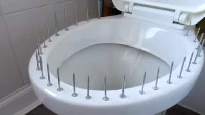 Toilet spike