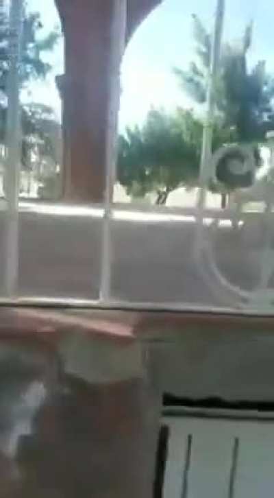 &ldquo;Se pasan de ver...&rdquo;