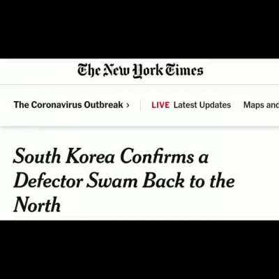 DPRK is axually holsom guys 💯
