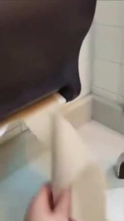 Spooky toilet