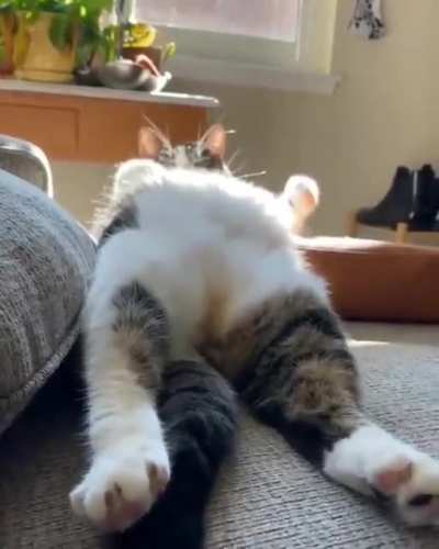 dont disturb the chumnker