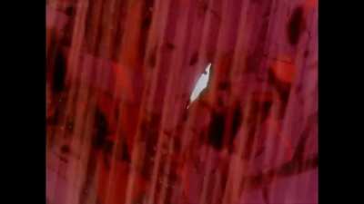 I was watching Evangelion for the first time and i thought this would look cool