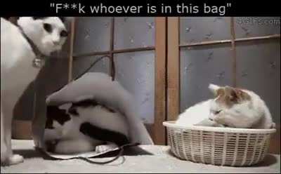 There you go