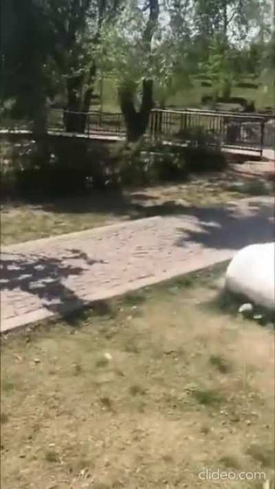 Onlar selfie &ccedil;ekiyorlar, kadınları değil.