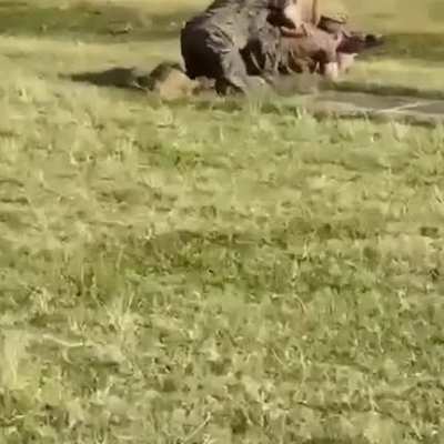Не подскажите что за войска?
