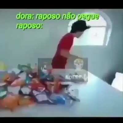 Hoje n&atilde;o raposo