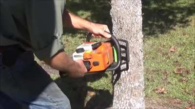 Cutting a tree except the chainsaw is voiced by Amelia
