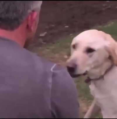 Dog whisperer