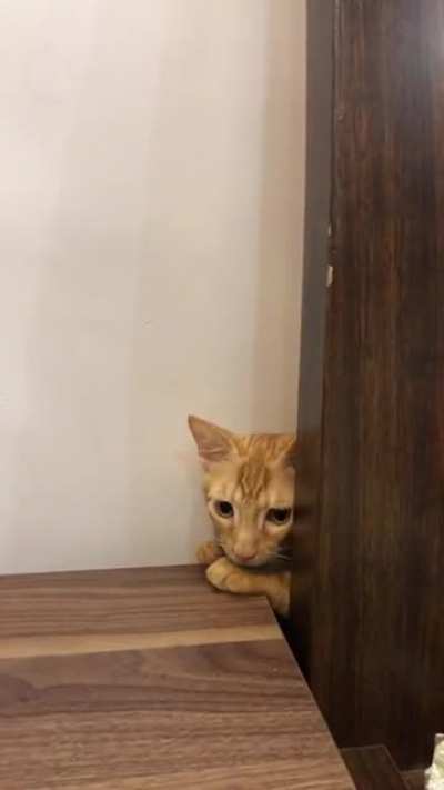 Trying to escape thunderstorm
