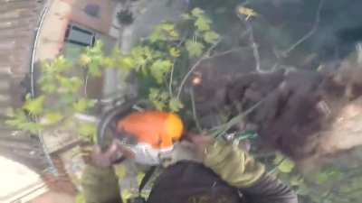 Guy cutting tree gets BURNED. Entire Tree Catches on FIRE while cutting it in the air.