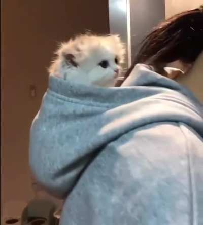 Kitty Grogu