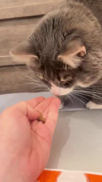 Where&rsquo;s my treat??