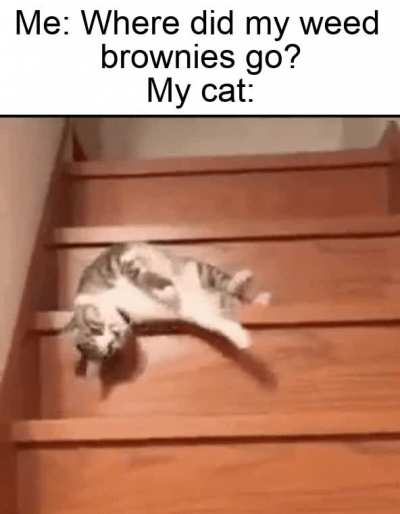 You OK, buddy?