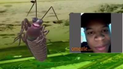 Olha o verde. _\|/_