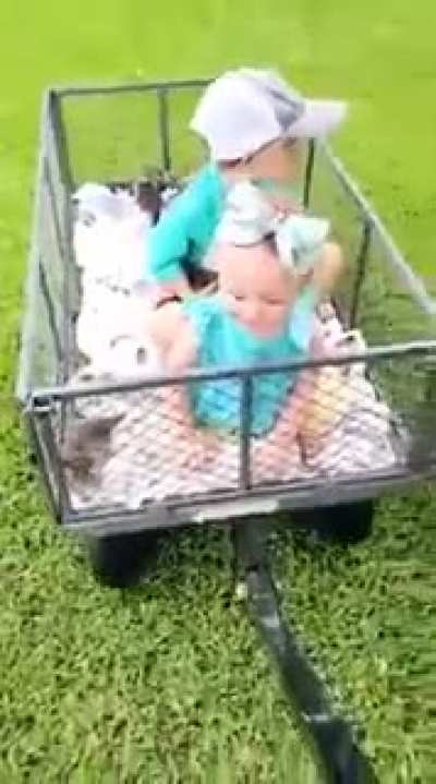 Just a wagon full of kittens and babies! Update from the yesterday&rsquo;s 13 rescued kittens.
