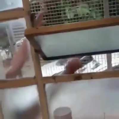 Brasil: P&aacute;tria educadora.