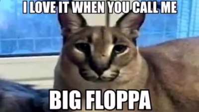 get rule m8